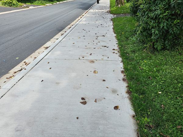Cost of Sidewalk Renovation in State College