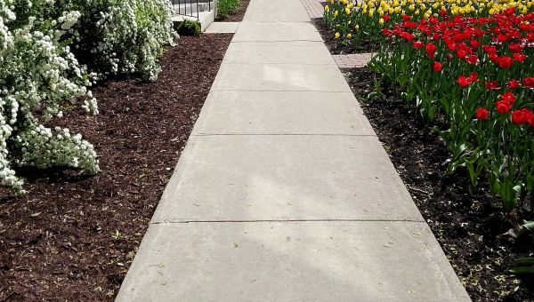 Cost of Sidewalk Slab Replacement in State College